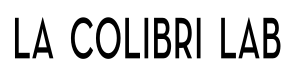 Kant Logo